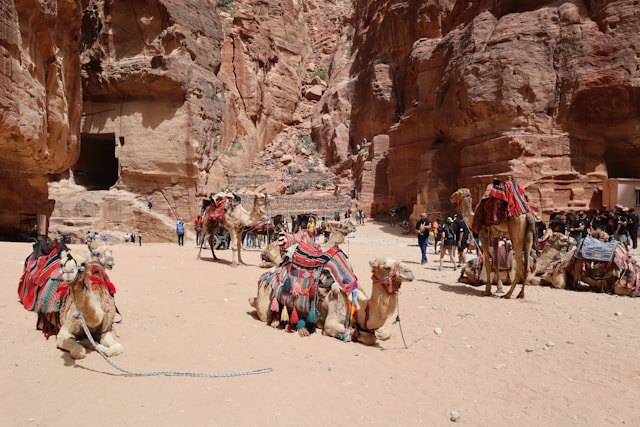 Architectural Techniques and Conservation Challenges of the royal tombs in petra Architectural Techniques and Conservation Challenges of the royal tombs in petra