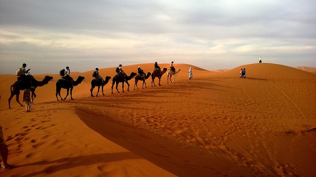 CAMEL RIDES IN ISRAEL TOP SITES