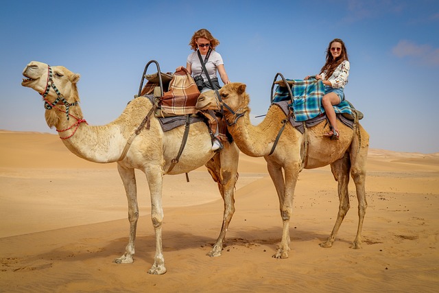CAMEL RIDE IN ISRAEL