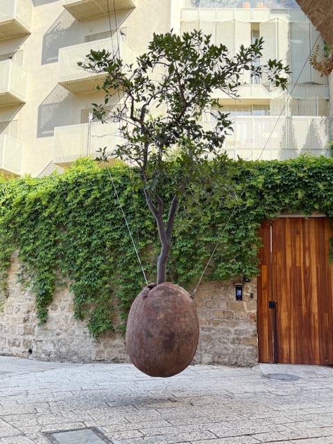 the famous Floating Tree in old Jaffa with a private tour guide