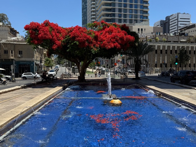 The Rothschild Boulevard