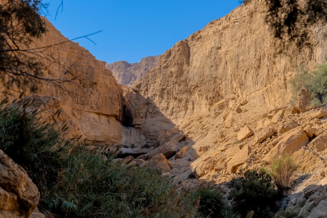 ein gedi national park hike