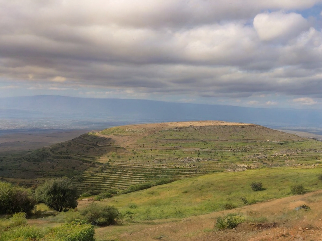 visit gamla national park in the golan heights