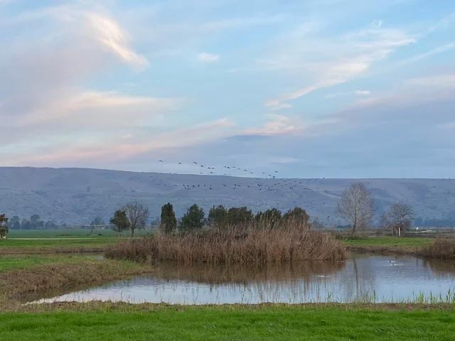 hula valley galilee israel