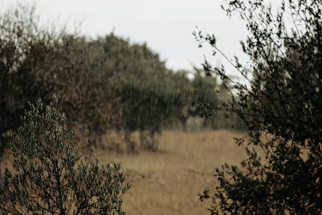 Akeldama(the fields of blood) in jerusalem