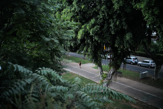 The Rothschild Boulevard