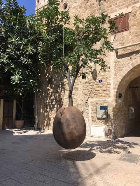 visit the floating tree in jaffa with a tour guide