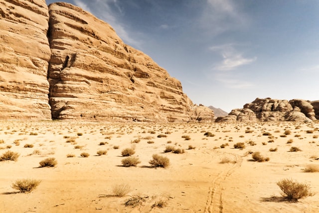 what to see in the negev desert
