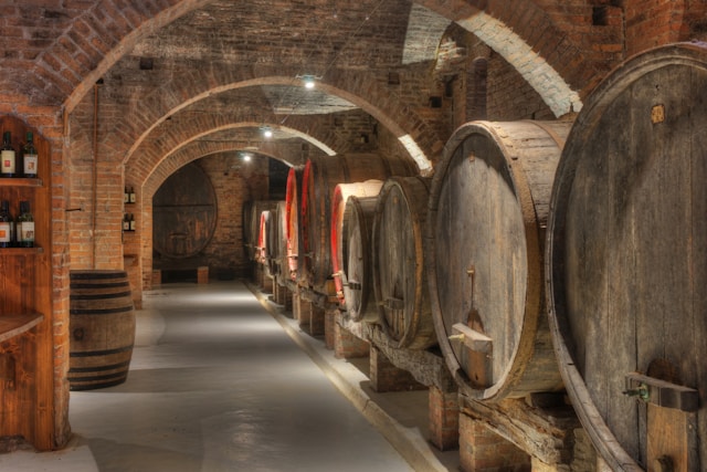 special israeli wines