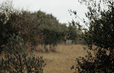 Akeldama(the fields of blood) in jerusalem