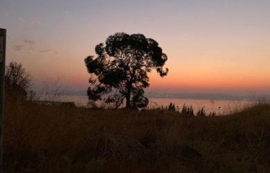 guided tours in Israel