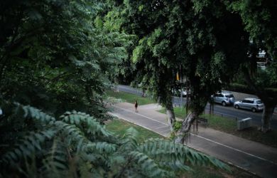 The Rothschild Boulevard