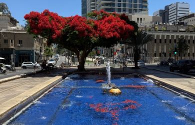 The Rothschild Boulevard