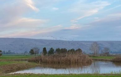 hula valley galilee israel