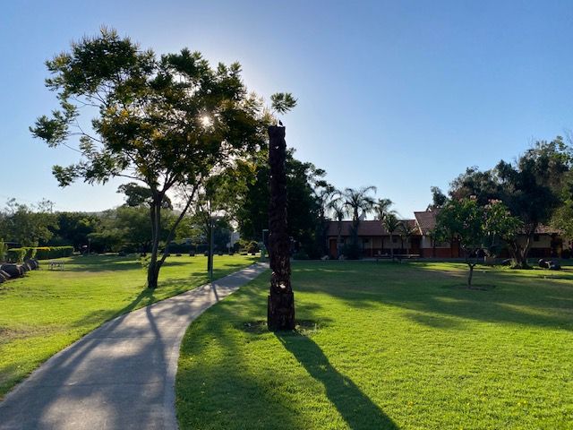 GINOSAR - ISRAELI KIBBUTZ ON THE SEA OF GALILEE