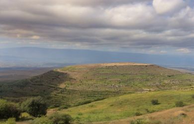 visit gamla national park in the golan heights