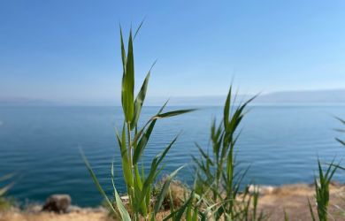 What was in the place of Israel before?