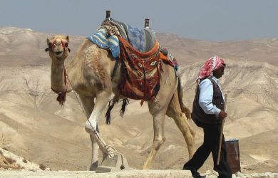 day trip from tel aviv